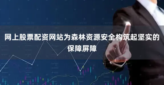 网上股票配资网站为森林资源安全构筑起坚实的保障屏障