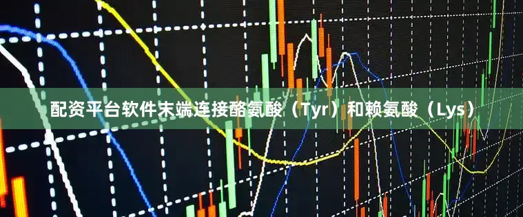 配资平台软件末端连接酪氨酸（Tyr）和赖氨酸（Lys）