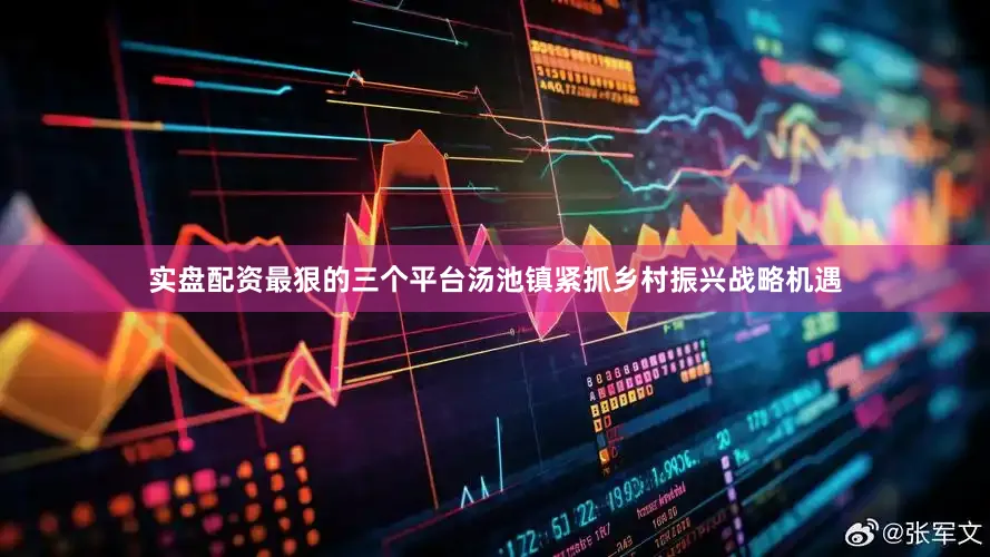 实盘配资最狠的三个平台汤池镇紧抓乡村振兴战略机遇