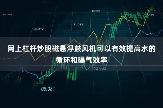 网上杠杆炒股磁悬浮鼓风机可以有效提高水的循环和曝气效率